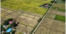 Foreclosed Property in General Mamerto Natividad, Nueva Ecija · Lot 4175-A (Bangko Sentral ng Pilipinas)