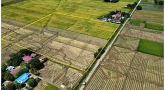 Foreclosed Property in General Mamerto Natividad, Nueva Ecija