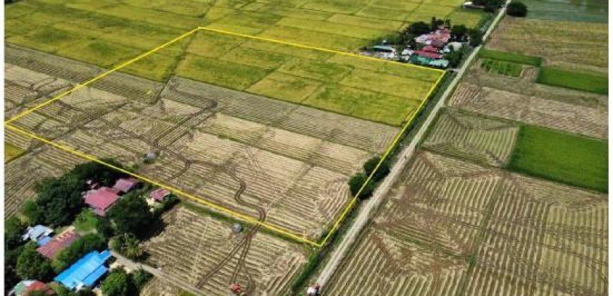 Foreclosed Property in General Mamerto Natividad, Nueva Ecija · Lot 4175-A (Bangko Sentral ng Pilipinas)