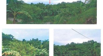 Foreclosed Property in Sipalay, Negros Occidental · Lot 2 (Bangko Sentral ng Pilipinas)