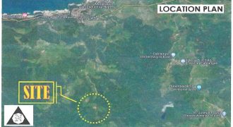 Foreclosed Property in Mondragon, Northern Samar · Lot 19469 (Bangko Sentral ng Pilipinas)