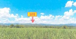 Foreclosed Property in Moises Padilla (Magallon), Negros Occidental (Bangko Sentral ng Pilipinas)