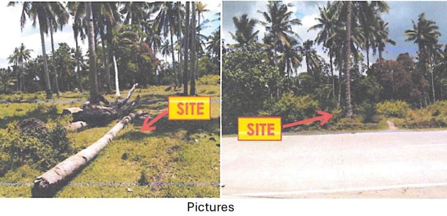 Foreclosed Property in Candijay, Bohol (Bangko Sentral ng Pilipinas)