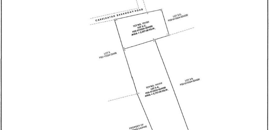 Foreclosed Residential Lot in Malasiqui, Pangasinan · Lot 3-C (Bangko Sentral ng Pilipinas)