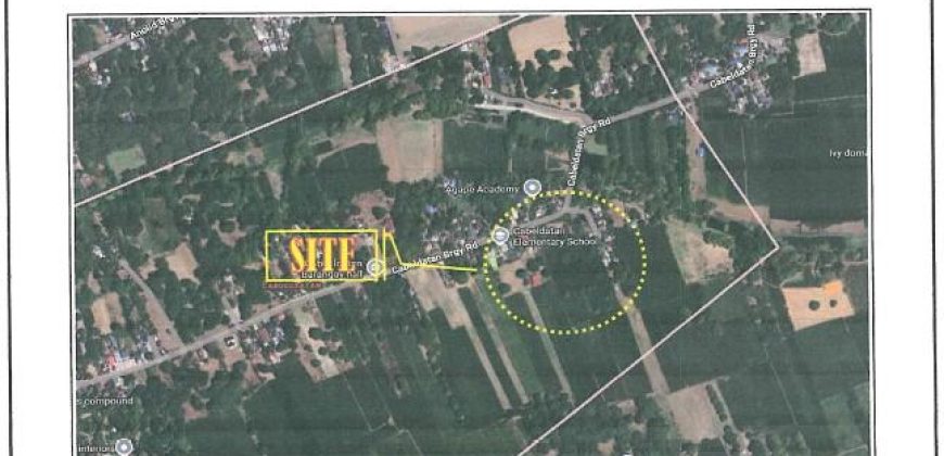 Foreclosed Residential Lot in Malasiqui, Pangasinan (Bangko Sentral ng Pilipinas)
