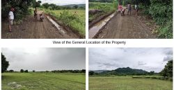 Foreclosed Property in Santa Cruz, Zambales (Bangko Sentral ng Pilipinas) #2