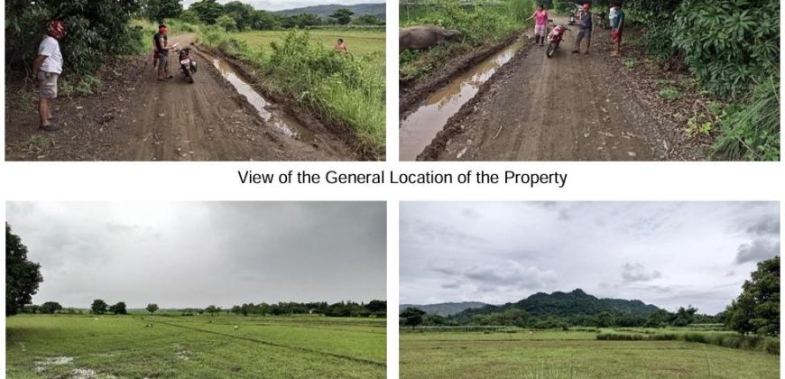 Foreclosed Property in Santa Cruz, Zambales (Bangko Sentral ng Pilipinas) #2