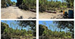 Foreclosed House and Lot in Ramon, Isabela · Lot 13 Block 13 (Bangko Sentral ng Pilipinas)