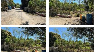 Foreclosed House and Lot in Ramon, Isabela · Lot 13 Block 13 (Bangko Sentral ng Pilipinas)