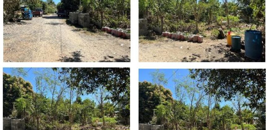Foreclosed House and Lot in Ramon, Isabela · Lot 13 Block 13 (Bangko Sentral ng Pilipinas)