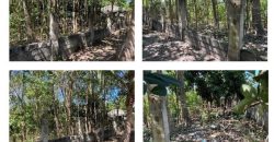 Foreclosed House and Lot in Ramon, Isabela (Bangko Sentral ng Pilipinas)