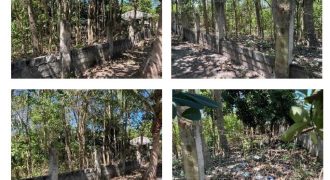 Foreclosed House and Lot in Ramon, Isabela (Bangko Sentral ng Pilipinas)