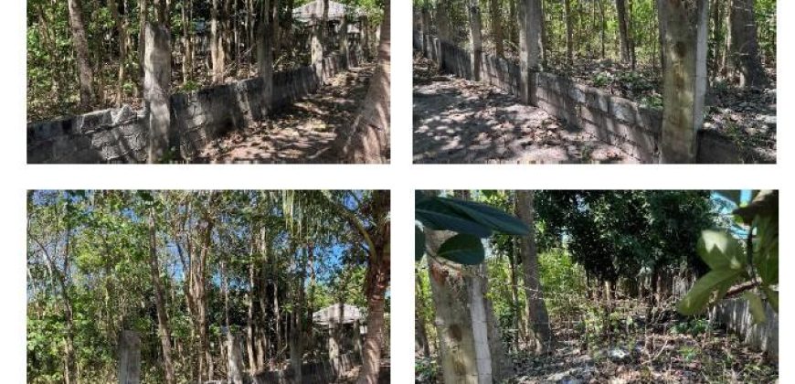 Foreclosed House and Lot in Ramon, Isabela (Bangko Sentral ng Pilipinas)