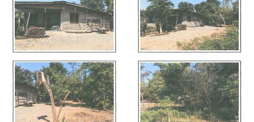 Foreclosed House and Lot in Laoac, Pangasinan (Bangko Sentral ng Pilipinas)