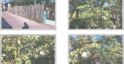 Foreclosed Residential Lot in Dagupan City, Pangasinan · Lot 6 (Bangko Sentral ng Pilipinas)