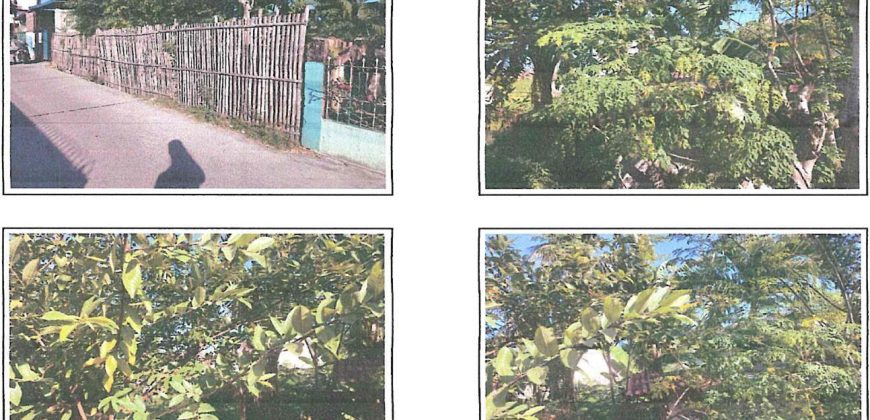 Foreclosed Residential Lot in Dagupan City, Pangasinan · Lot 6 (Bangko Sentral ng Pilipinas)