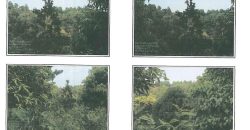 Foreclosed Property in Aguilar, Pangasinan (Bangko Sentral ng Pilipinas)