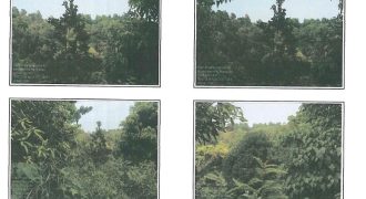 Foreclosed Property in Aguilar, Pangasinan