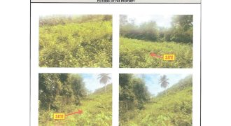 Foreclosed Property in Palompon, Leyte (Bangko Sentral ng Pilipinas)