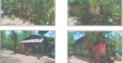 Foreclosed Residential Lot in Camiling, Tarlac (Bangko Sentral ng Pilipinas)