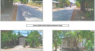 Foreclosed House and Lot in Camiling, Tarlac (Bangko Sentral ng Pilipinas)
