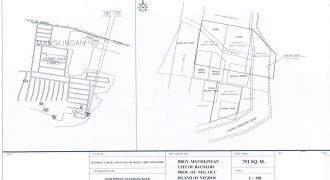 Foreclosed Residential Lot in Bacolod, Negros Occidental – L 961-E-3 Unnamed Road (Philippine Veterans Bank)