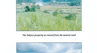 Foreclosed Agricultural Lot in Bacolod, Negros Occidental (Philippine Veterans Bank)