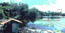 Foreclosed Residential Lot in San Jose, Occidental Mindoro