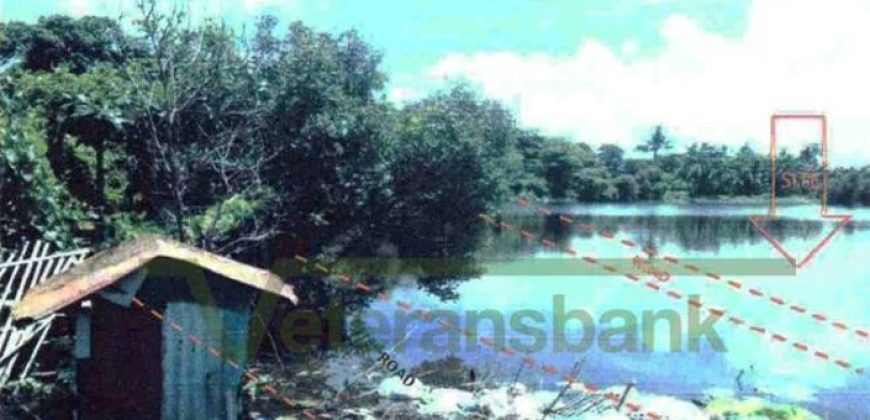 Foreclosed Residential Lot in San Jose, Occidental Mindoro