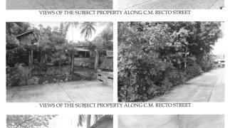 Foreclosed Residential Lot in Bacolod, Negros Occidental · Blk 19 (Philippine Veterans Bank) #3