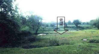 Foreclosed Agricultural Lot in Calintaan, Occidental Mindoro · Lot 1333 (Philippine Veterans Bank)