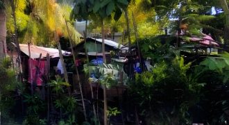 Foreclosed Residential Lot in Ramon, Isabela