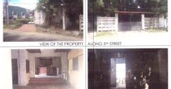 Foreclosed Residential Lot in Pasig, Metro Manila – L 4 Blk 1 5Th Ave. (Philippine Veterans Bank)