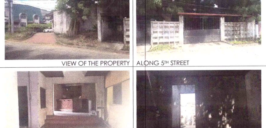 Foreclosed Residential Lot in Pasig, Metro Manila – L 4 Blk 1 5Th Ave. (Philippine Veterans Bank)