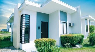 Amaia Scapes San Pablo