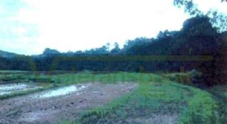 Foreclosed Agricultural Lot in Sablayan, Occidental Mindoro