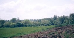 Foreclosed Agricultural Lot in Diffun, Quirino