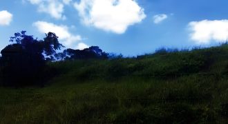 Foreclosed Residential Lot in Laurel, Batangas