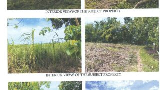 Foreclosed Agricultural Lot in Himamaylan, Negros Occidental (Philippine Veterans Bank)