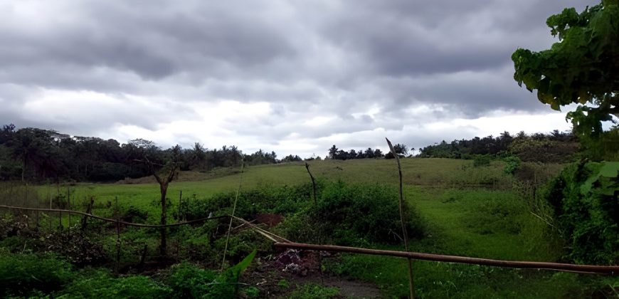 Foreclosed Residential Lot in Daraga, Albay