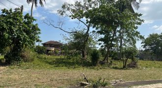 Foreclosed Residential Lot in San Pablo City, Laguna · Lot 2 Blk. 4 (Metrobank)