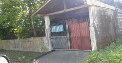 Foreclosed House and Lot in Dagupan City