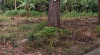 Foreclosed Residential Lot in Los Baños, Laguna