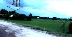 Foreclosed Residential Lot in San Jose, Occidental Mindoro