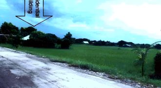 Foreclosed Residential Lot in San Jose, Occidental Mindoro