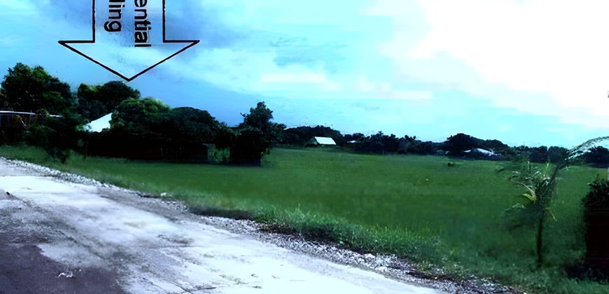 Foreclosed Residential Lot in San Jose, Occidental Mindoro