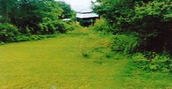 Foreclosed Residential Lot in San Jose, Occidental Mindoro · Blk 3 (Philippine Veterans Bank)