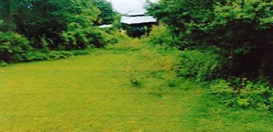 Foreclosed Residential Lot in San Jose, Occidental Mindoro · Blk 3 (Philippine Veterans Bank)