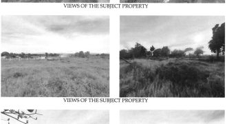 Foreclosed Agricultural Lot in San Miguel, Bulacan (Philippine Veterans Bank) #2