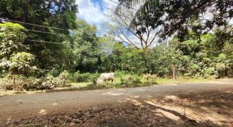 Foreclosed House and Lot in Botolan, Zambales